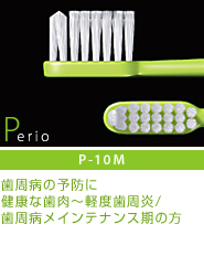 P-10M