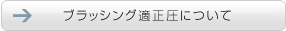 �u���b�V���O�K�����ɂ���