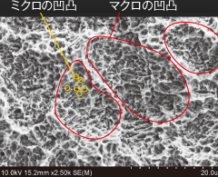 ミクロとマクロの二重構造