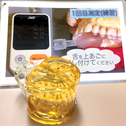 検査器の説明資料と歯科模型