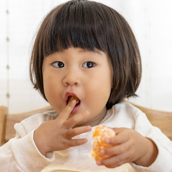 ステージ3（18か月～3歳ごろ）