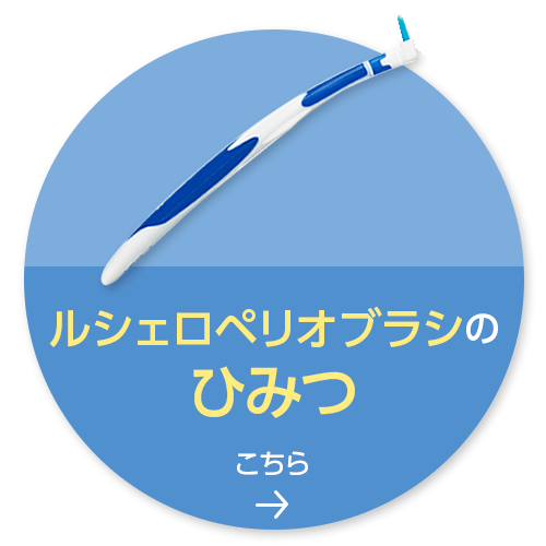 ルシェロペリオブラシのひみつはこちら