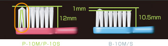ブラシの特長：P-10M｜ルシェロ歯ブラシ