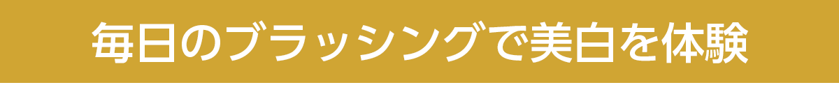 毎日のブラッシングで美白を体験