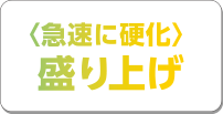 （急速に硬化 盛り上げ）