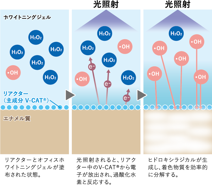 ティオン オフィス（V-CAT応用）の効果