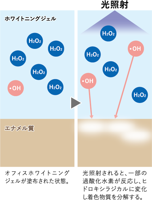 光触媒なし