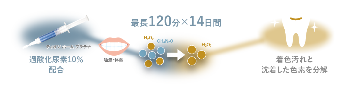 最長120分×14日間