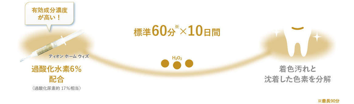 標準60分×10日間